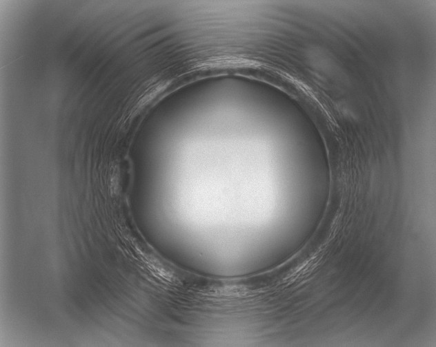 X0000052960833200507300109