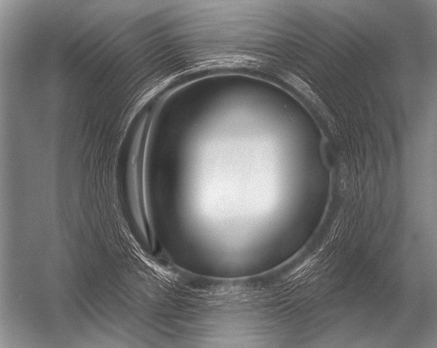 X0000052960834200507300109