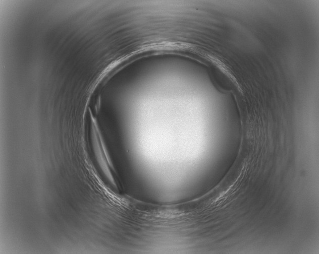 X0000052960837200507300109