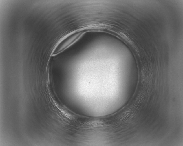 X0000052960838200507300109