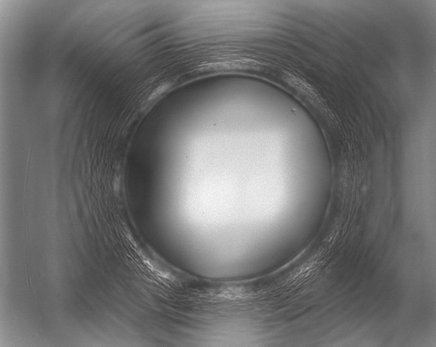 X0000052960841200507300109