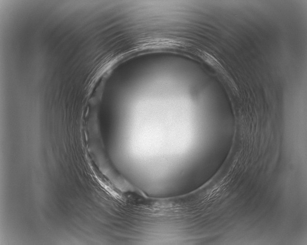 X0000052960842200507300109