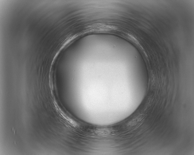 X0000052960843200507300109