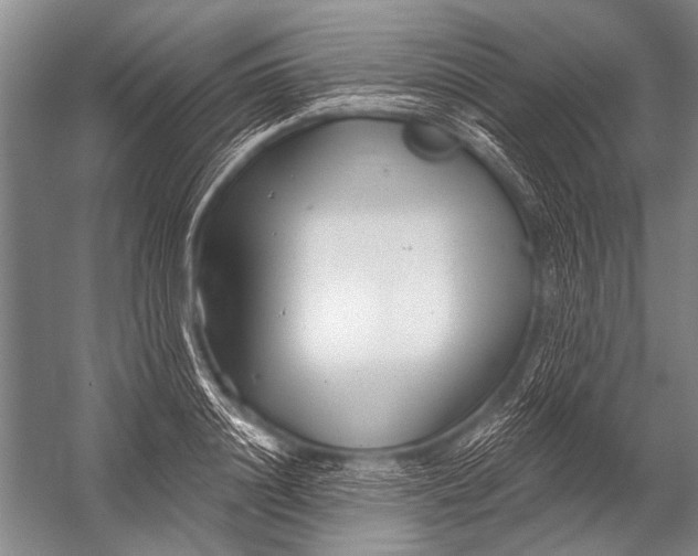 X0000052960844200507300109