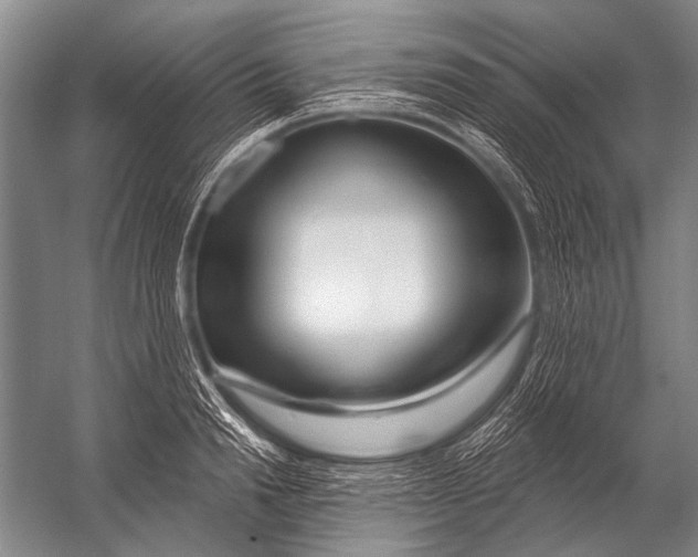 X0000052960846200507300109