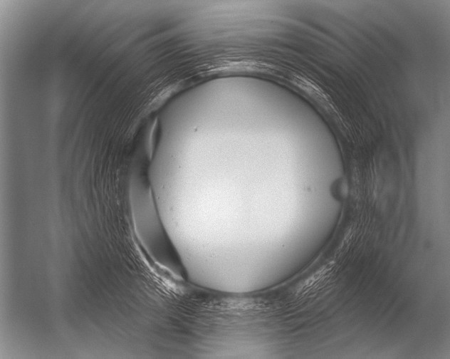 X0000052960849200507300109