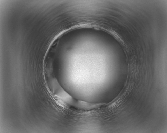 X0000052960854200507300109