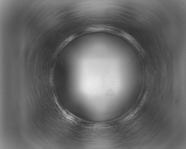 X0000052960857200507300109