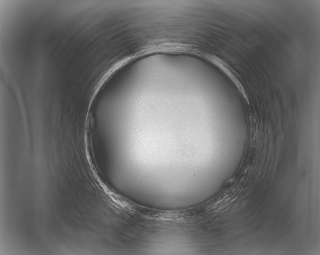 X0000052960861200507300109