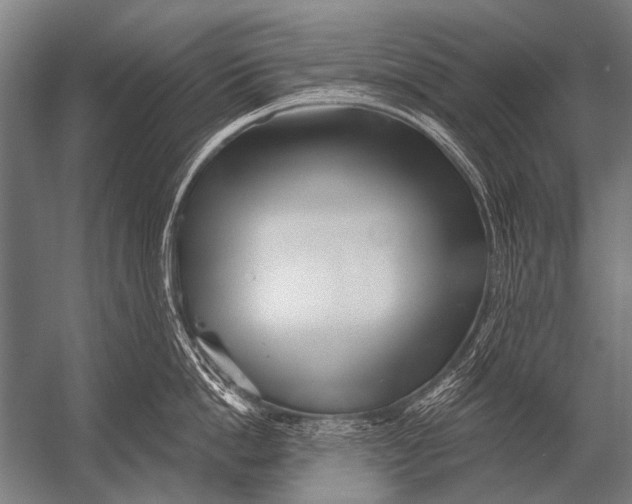 X0000052960862200507300109