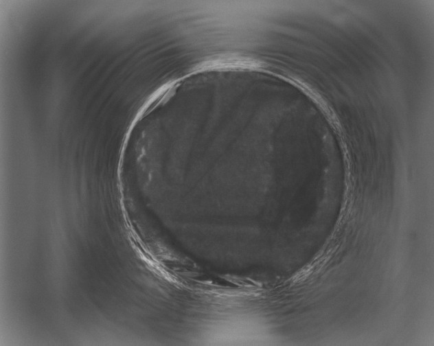 X0000052960864200507300109