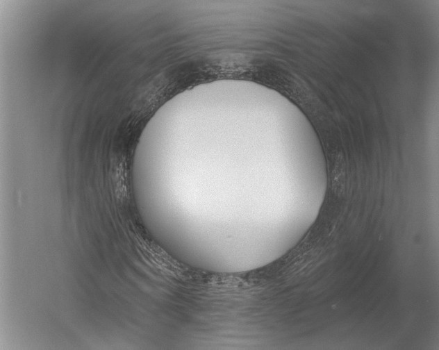 X0000052960866200507300109