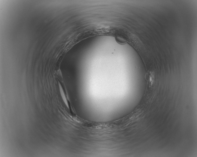 X0000052960867200507300109