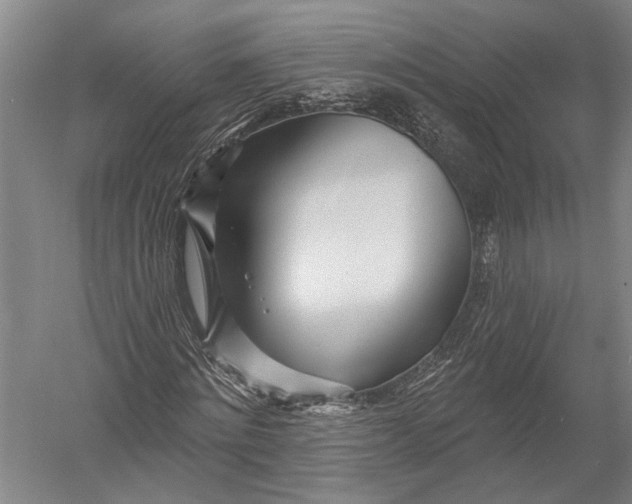 X0000052960868200507300108