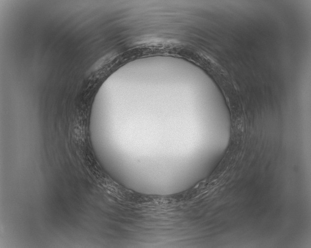 X0000052960869200507300108