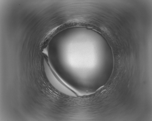 X0000052960872200507300108