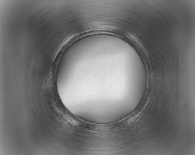 X0000052960875200507300108