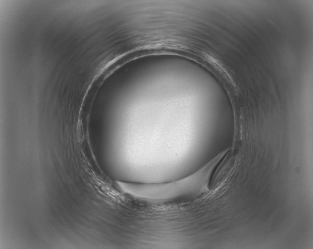 X0000052960876200507300108