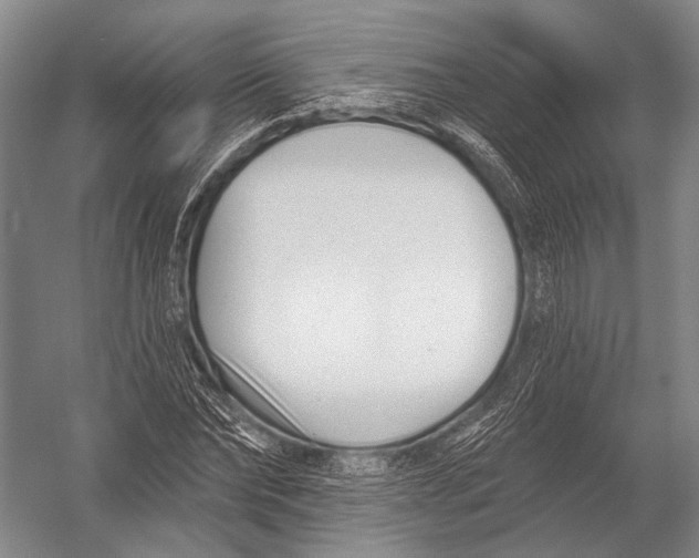 X0000052960878200507300108