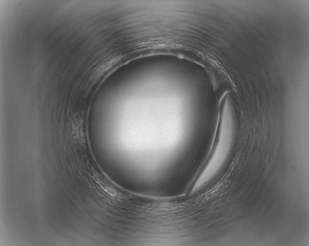 X0000052960881200507300108