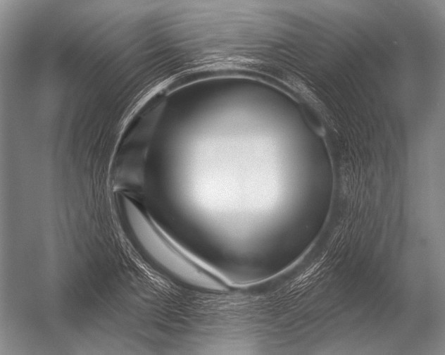 X0000052960885200507300108