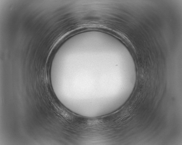 X0000052960887200507300108