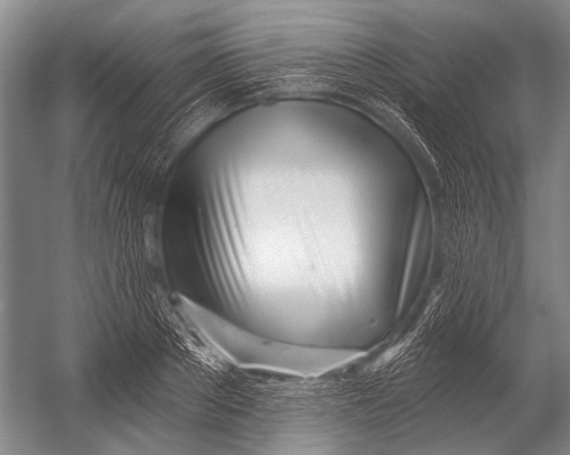 X0000052960889200507300108
