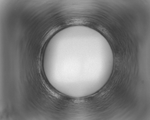 X0000052960890200507300108