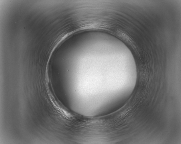 X0000052960892200507300108