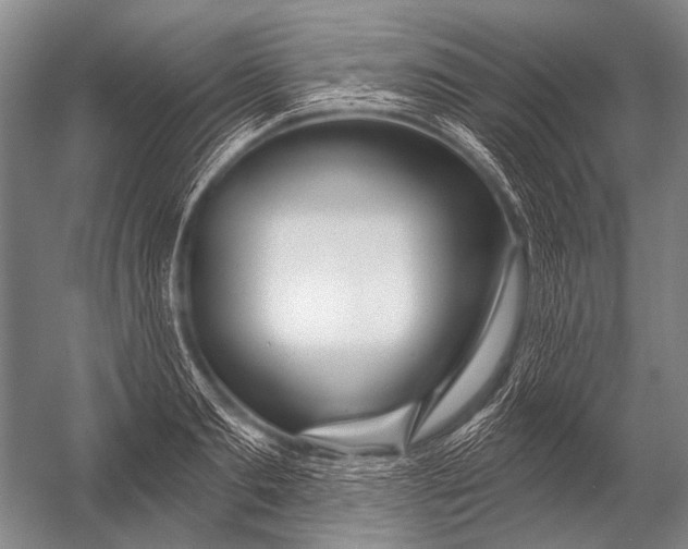 X0000052960893200507300108