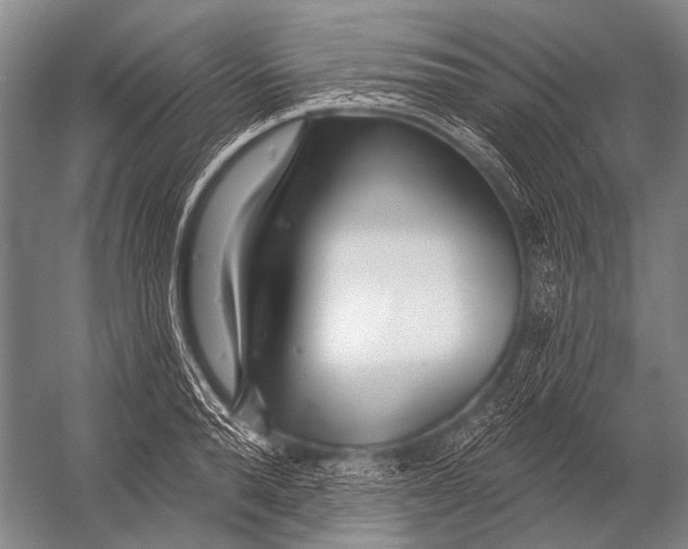 X0000052960896200507300108
