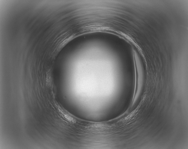 X0000052960897200507300108