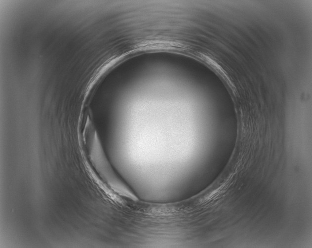 X0000052960901200507300108