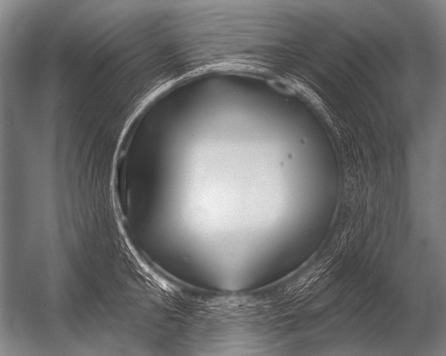 X0000052960902200507300108
