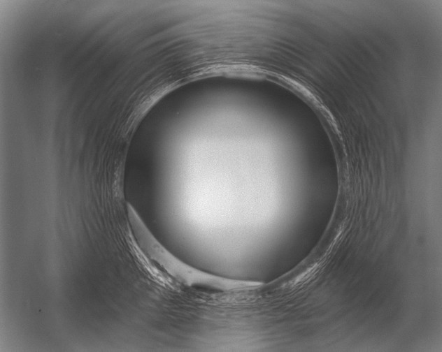 X0000052960905200507300108