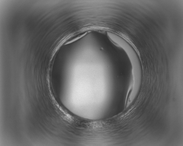X0000052960906200507300108