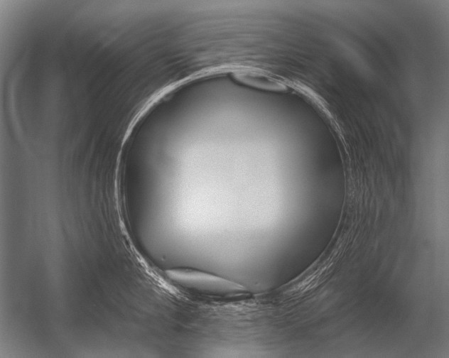 X0000052960910200507300108