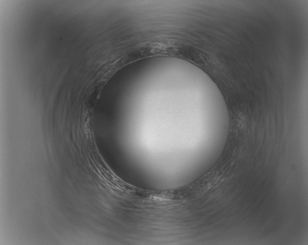X0000052960914200507300107