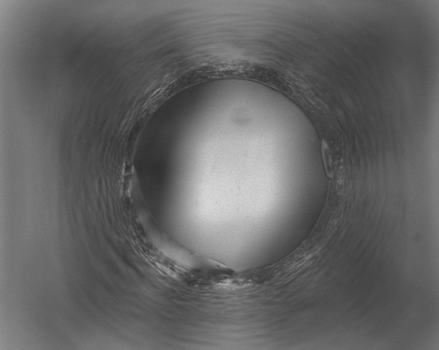 X0000052960916200507300107