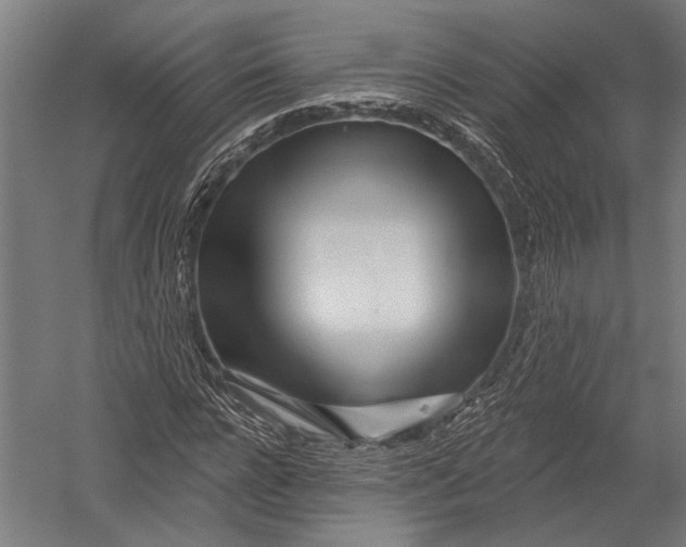 X0000052960920200507300107