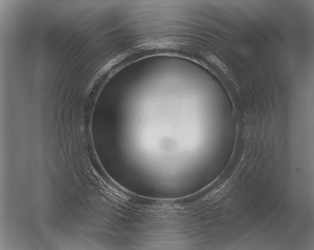 X0000052960922200507300107
