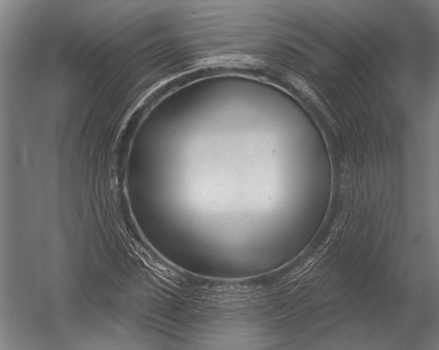 X0000052960923200507300107