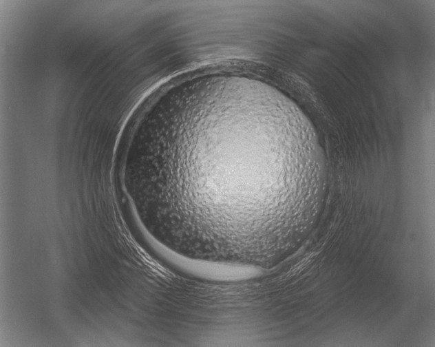 X0000052960924200507300107