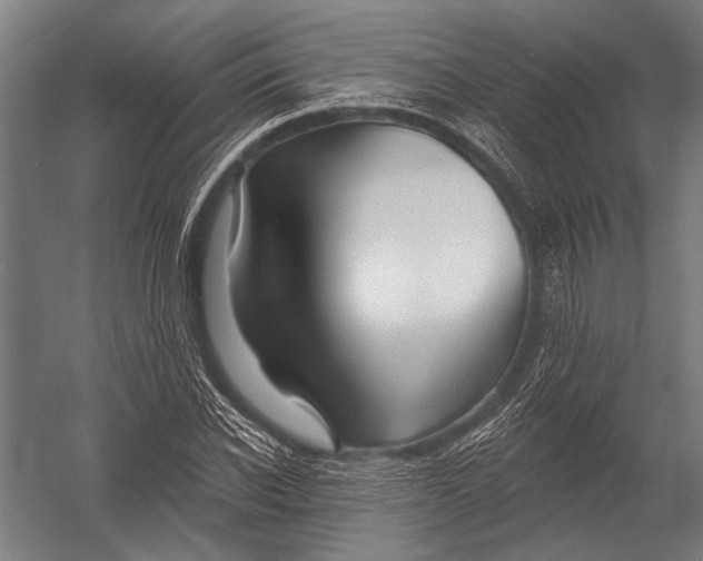 X0000052960926200507300107