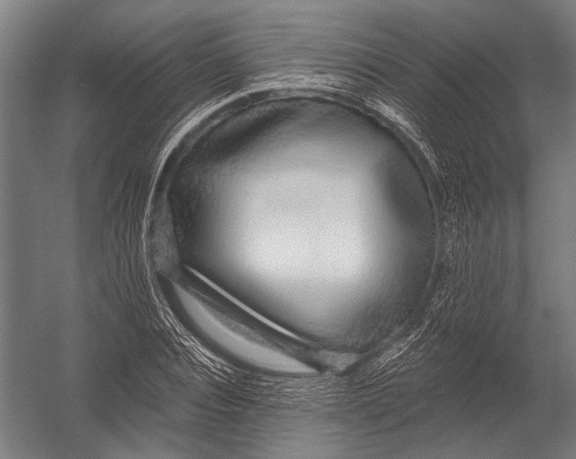 X0000052960928200507300107