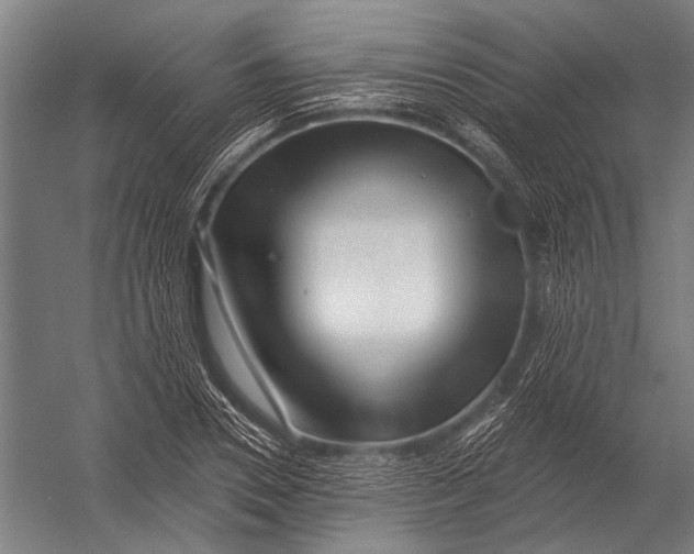 X0000052960930200507300107