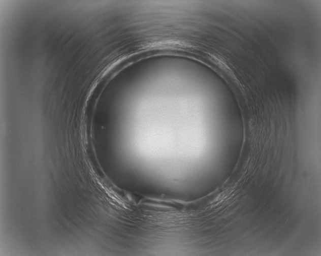 X0000052960931200507300107
