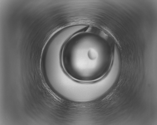 X0000052960932200507300107