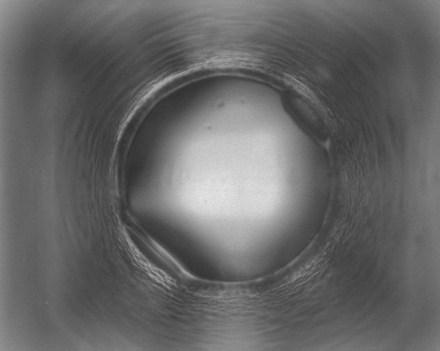 X0000052960934200507300107
