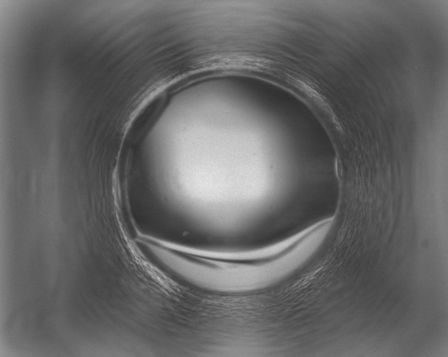X0000052960936200507300107